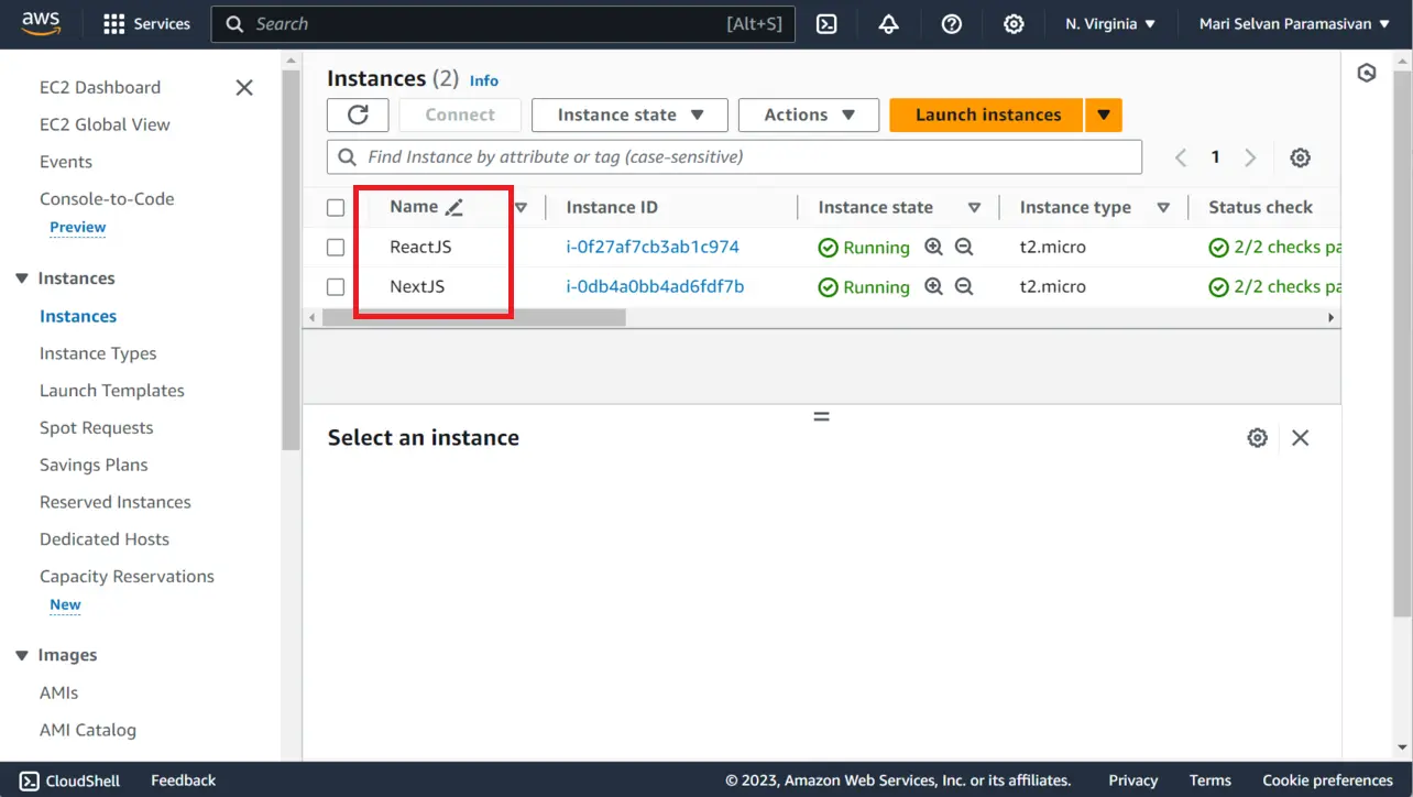 AWS EC2 instance with 2 server running